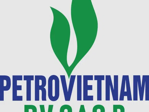 PV GAS D (PGD) điều chỉnh giảm 25% kế hoạch lợi nhuận ngay trước thềm kết thúc năm tài chính