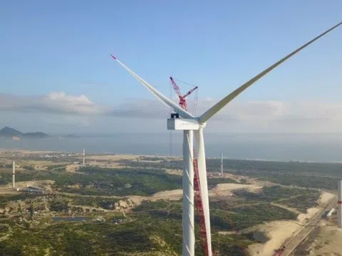 Halcom Việt Nam (HID) chi 178 tỷ đồng gom cổ phần điện mặt trời giữa đợt biến động thị giá