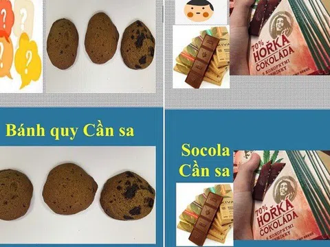 Cảnh giác với các loại ma tuý núp bóng đồ uống, thực phẩm