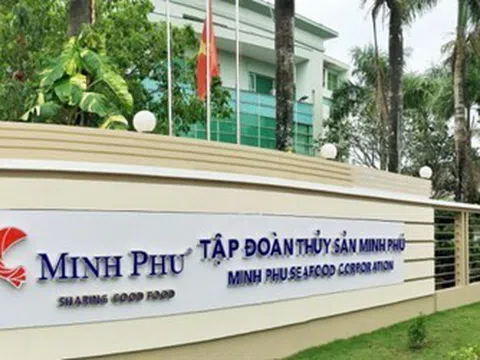 Thủy sản Minh Phú (MPC) chốt quyền chia cổ tức tiền mặt, lãi 9 tháng vượt 400 tỷ đồng