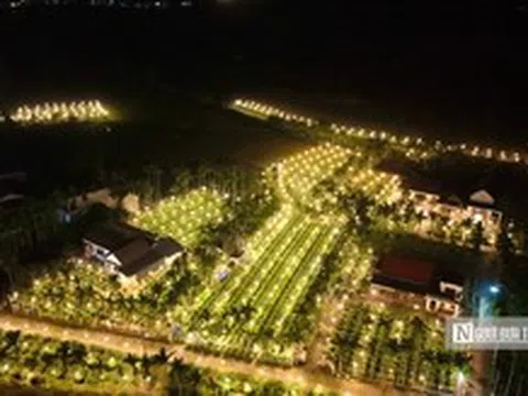 Nông dân Quảng Ngãi trắng đêm chong đèn, giữ ấm cho hoa Tết