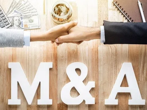 Thị trường M&A tháng 11: Năng lượng và bán dẫn là 'thỏi nam châm' hút vốn ngoại