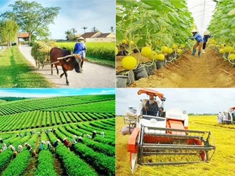 Kiện toàn thành viên BCĐ Trung ương các chương trình mục tiêu quốc gia 2021 - 2025