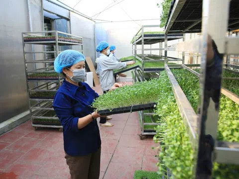 Liên kết doanh nghiệp: ‘Chìa khoá’ tăng tốc kinh tế tuần hoàn tại Việt Nam