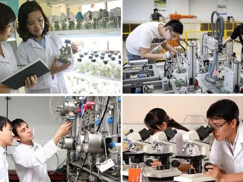 Phê duyệt Chiến lược quốc gia về phát triển đội ngũ trí thức đến năm 2030, tầm nhìn đến năm 2045