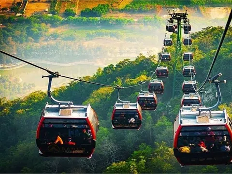 Lãi 9 tháng tăng bằng lần, Cáp treo Núi Bà Tây Ninh (TCT) dùng vốn nhàn rỗi cho vay gần 220 tỷ đồng