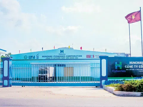 Nông nghiệp Hùng Hậu (SJ1): Doanh thu vượt 2.400 tỷ đồng, gánh nặng lãi vay bào mòn lợi nhuận