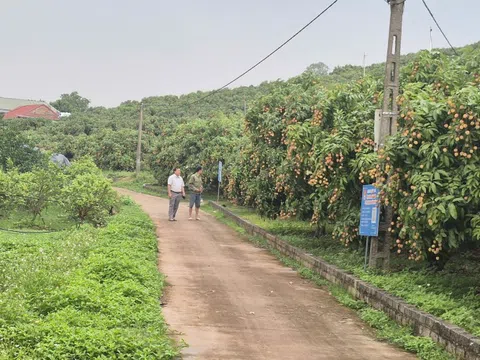 Nông dân Bắc Ninh làm chủ kỹ thuật, chung sức dựng xây nông thôn mới