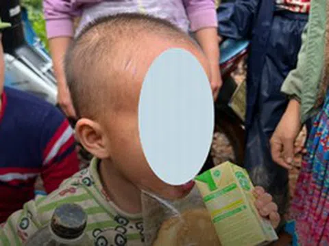 Tìm thấy bé trai 4 tuổi đi lạc trong rừng cao su ở Lai Châu