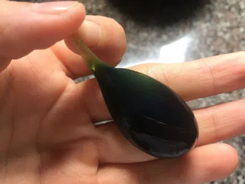 Người đàn ông 38 tuổi suýt chết vì nuốt mật cá trắm để "tăng cường sinh lực"