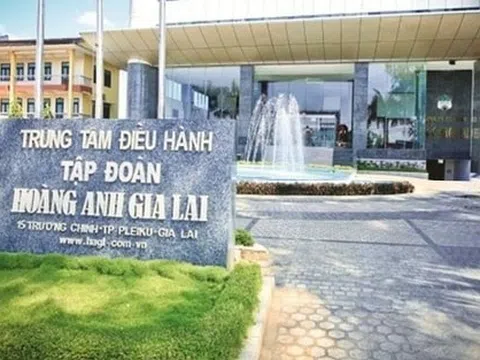 HAGL (HAG) dùng gần 157 triệu cổ phần HAGL Investment làm tài sản đảm bảo, chuẩn bị lộ trình niêm yết công ty con