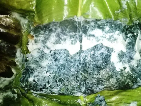 Loại rau ít "ngậm" thuốc trừ sâu nhất chợ, đầu bảng ở quê mọc um tùm bờ rào