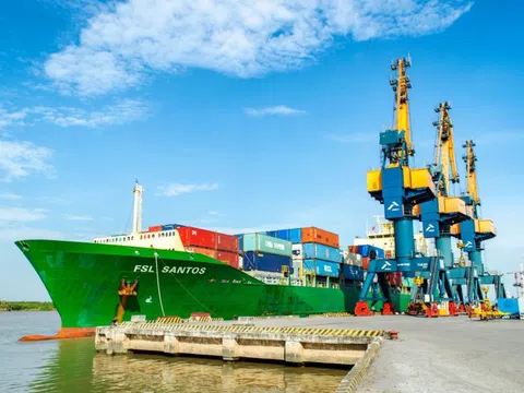 Vận tải và Xếp dỡ Hải An (HAH) muốn phát hành hơn 2,49 triệu cổ phiếu ESOP với giá thấp hơn 82,6% với giá thị trường