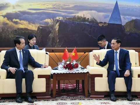 Phó Thủ tướng Bùi Thanh Sơn tiếp Đại sứ Trung Quốc Hà Vĩ