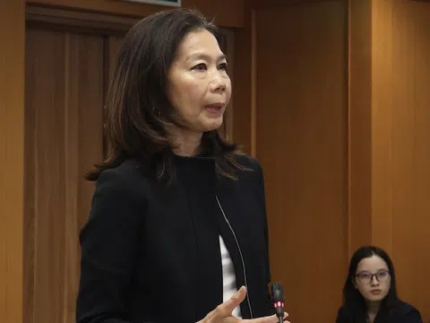 Liên Hợp Quốc hỗ trợ khẩn cấp ứng phó thiên tai tại Việt Nam năm 2025