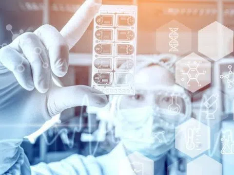 Kiện toàn thành viên Ban Chỉ đạo quốc gia về phát triển ngành Dược Việt Nam