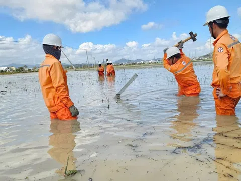 Khôi phục điện sau bão số 13 tại Gia Lai: Cuộc chạy đua với 3 kỷ lục