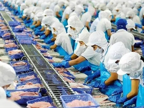 Vĩnh Hoàn (VHC) ghi nhận doanh thu tại thị trường Mỹ suy giảm trong tháng 11