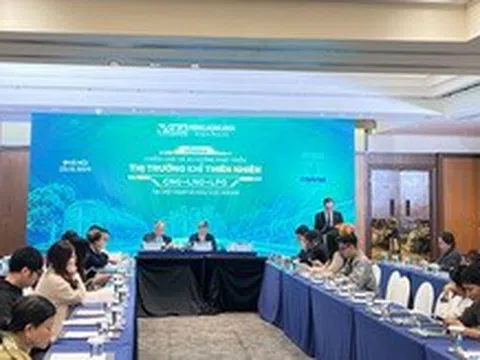 Vị thế và những “nút thắt” của thị trường khí Việt Nam