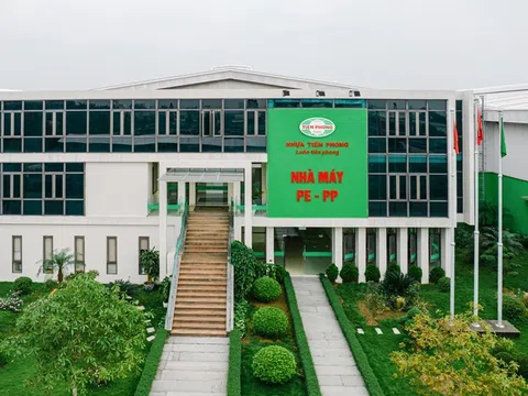 Nhựa Tiền Phong (NTP) chi 256 tỷ đồng tạm ứng cổ tức giữa lúc bị phạt thuế hơn 10 tỷ vì hóa đơn không hợp pháp