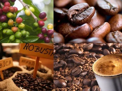 THỊ TRƯỜNG HÀNG HÓA: Dòng tiền quay lại, MXV-Index tăng hơn 1%