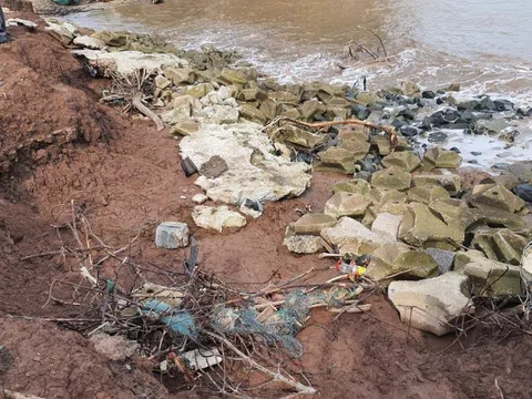 Cà Mau phê duyệt dự án chống xói lở bờ biển hơn 185 tỷ đồng