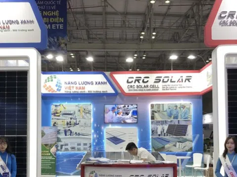 Create Capital (CRC): Báo lãi tăng trưởng 43% giữa hoạt động cổ phiếu bị thao túng giá