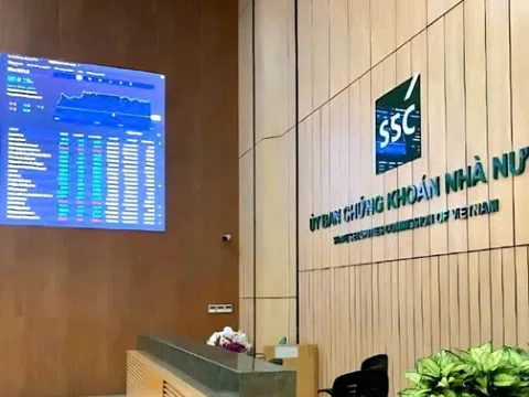 Sai lệch, chậm công bố thông tin, Công ty Phát triển Bất động sản Cát Liên Hoa bị phạt nặng