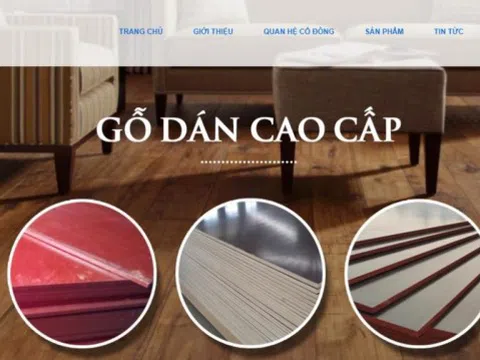 Đầu tư Xây dựng và Phát triển Đô thị Thăng Long (TLD) muốn rót thêm 16,5 tỷ đồng vào công ty con