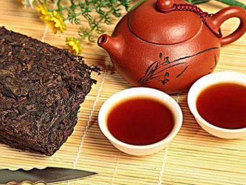 Trà Phổ Nhĩ - Thức uống quý báu có giá hàng tỷ đồng