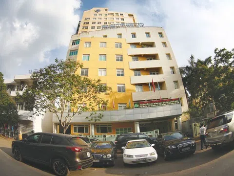 CIENCO1 bị phạt 92,5 triệu đồng vì vi phạm quy định công bố thông tin nhiều năm liền