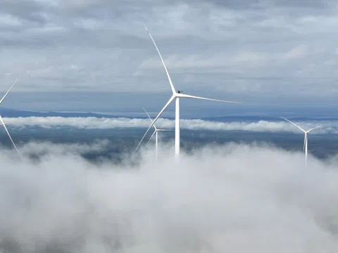 Chính thức vận hành thương mại nhà máy điện gió Savan 1 của T&T Group tại Lào