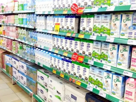 Thị trường sữa tươi Việt Nam: Vinamilk giữ 'ngôi vương' độ phủ, TH True Milk và Cô Gái Hà Lan thắng thế phân khúc ngách