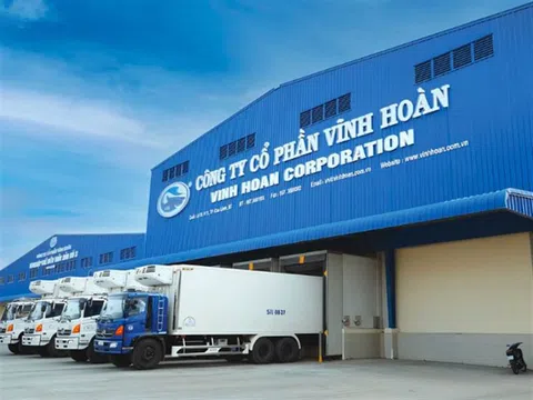 Vĩnh Hoàn (VHC): Cổ phiếu giảm 14%, con gái Chủ tịch chi hơn 300 tỷ đồng mua vào