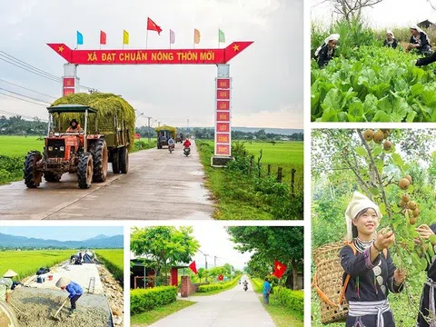 Bộ tiêu chí quốc gia về nông thôn mới giai đoạn 2026 - 2030