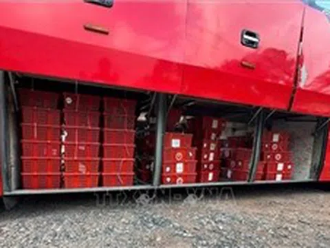 Phát hiện vụ vận chuyển 676 con rắn hổ mang trên xe khách