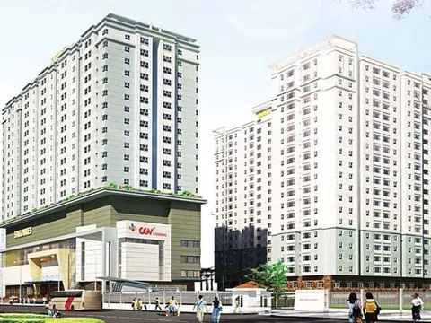 Saigonres (SGR) phát hành trái phiếu thế chấp bằng trụ sở chính: Dồn lực cho dự án 35ha, lên kế hoạch lợi nhuận 2026 tăng trưởng ba con số