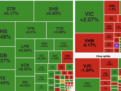 Cổ phiếu QCG, DGC tạo điểm nhấn trong phiên VN-Index tăng 12 điểm