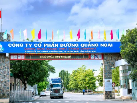Đường Quảng Ngãi (QNS) sắp chi hơn 367 tỷ đồng để trả cổ tức