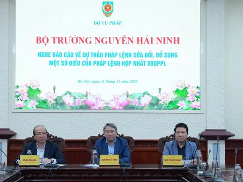 Mọi hoạt động áp dụng pháp luật đều căn cứ vào văn bản hợp nhất