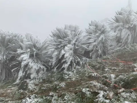 Miền Bắc trời chuyển rét, vùng núi rét đậm, rét hại