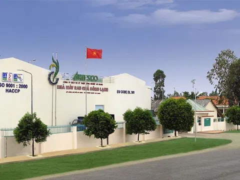 'Ông lớn' rau quả miền Tây Antesco (ANT)được chấp thuận niêm yết HOSE sau năm tài chính phá vỡ mọi kỷ lục lợi nhuận