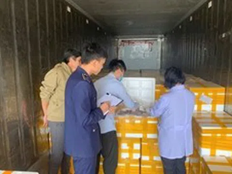 Phát hiện trên 10 tấn cá khoai chứa chất cấm được đưa đi tiêu thụ