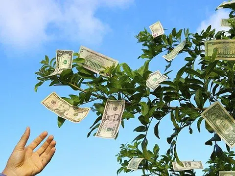 Masan Consumer, PNJ và loạt doanh nghiệp chốt quyền chia cổ tức tuần tới: 'Tiền tươi' chảy mạnh về túi cổ đông dịp đầu năm