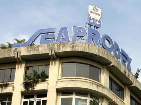 Hai pháp nhân liên quan hệ sinh thái Novaland (NVL) chi gần 1.400 tỷ đồng sở hữu Seaprodex (SEA) và 'game' đất vàng Đồng Khởi