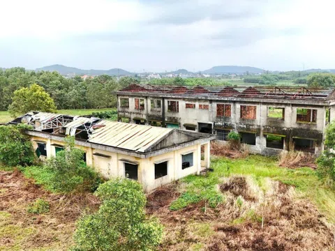 Trung tâm dạy nghề kiểu mẫu ở Quảng Ngãi bỏ hoang 11 năm, thanh tra chỉ ra nhiều sai phạm