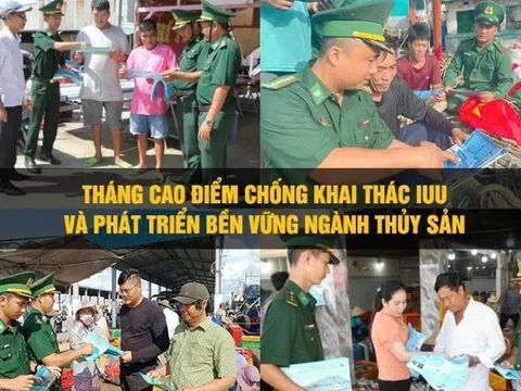 Cà Mau tạo chuyển biến toàn diện trong chống khai thác IUU