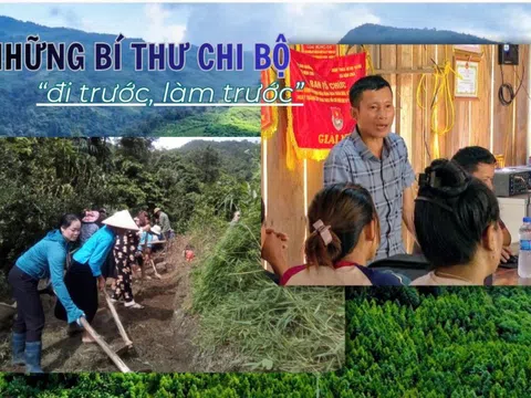 Những Bí thư chi bộ ‘đi trước, làm trước’