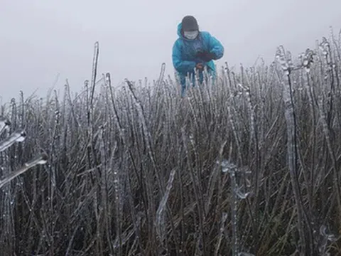 Dự báo thời tiết ngày 5/1: Đợt không khí lạnh khiến miền Bắc rét buốt kéo dài đến khi nào?