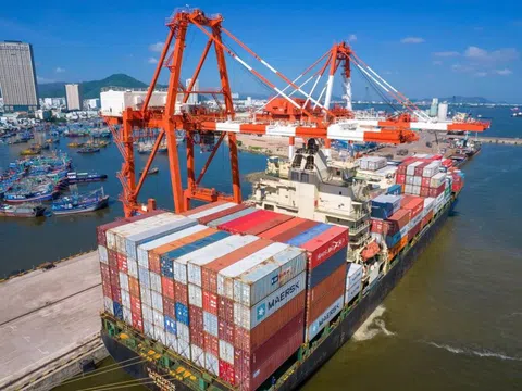 Cảng Quy Nhơn (QNP) đặt mục tiêu lãi trước thuế 195 tỷ đồng trong năm 2026